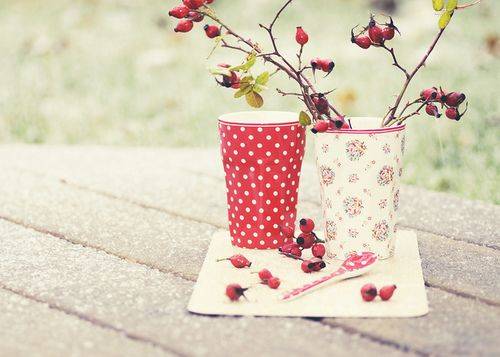 不要相信你的耳朵,要相信你的心