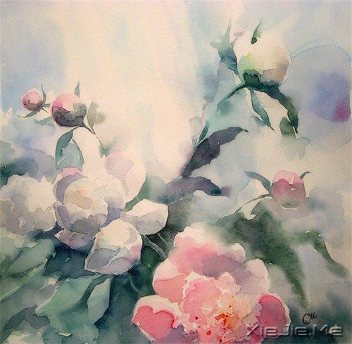 ����ϵˮ�ʻ�