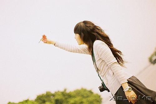 ����������������� (8)