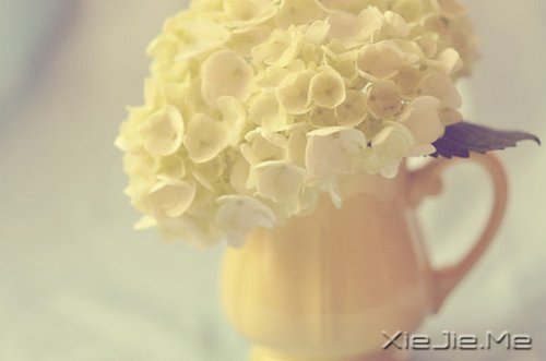 一心一意,是世界上最温柔的力量 (10)