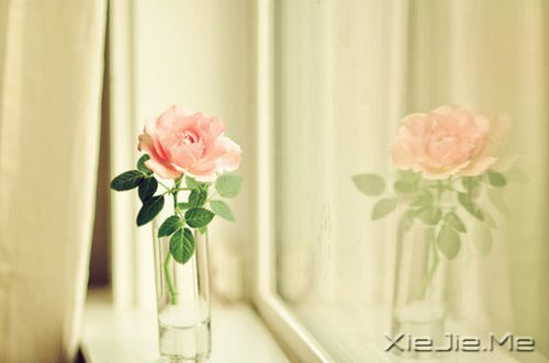 选择最淡的心事,诠释坎坷的人生 (9)