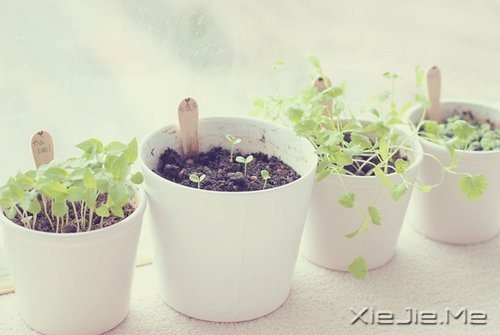 真正的高贵应该是优于过去的自己 (4)