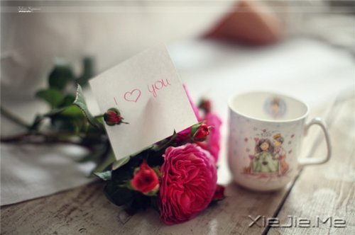 每个人都有自己的人生,冷暖自知 (2)