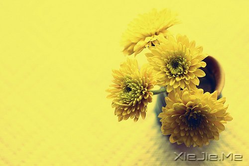 ���죬���ǿ��ƣ����ǿ��� (7)