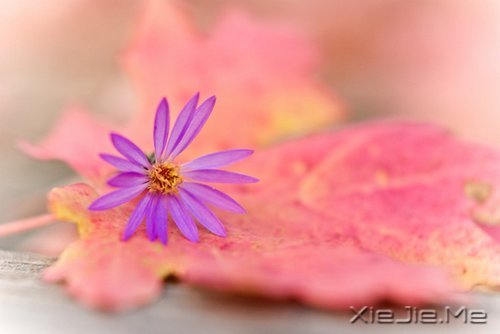 ���죬���ǿ��ƣ����ǿ��� (8)