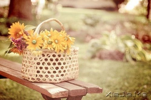 看自己的风景,行自己的人生 (2)