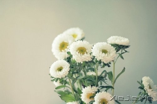 不论这个世界多么糟糕,你自己的世界一定要精彩 (3)