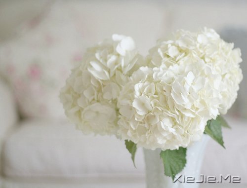 ��һ�������Լ��ĵط����������ж����������� (6)