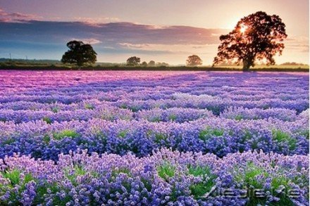 Ҫ��������룬��Ϊ�Լ����� (2)