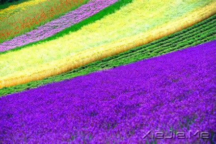 Ҫ��������룬��Ϊ�Լ����� (4)