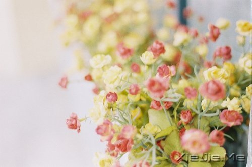 �������������Լ�һ��΢Ц (7)