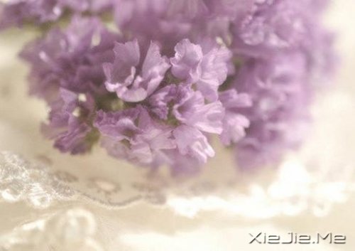 ���ƽ�ͣ�����������װ���������Ҹ� (6)