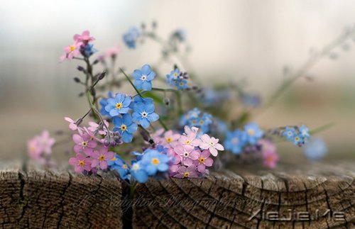 生命如途,走过才知深浅 (4)