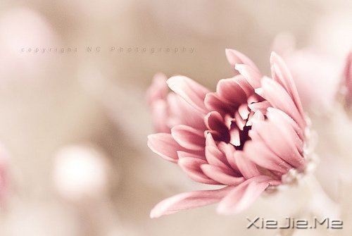 生命如途,走过才知深浅 (6)