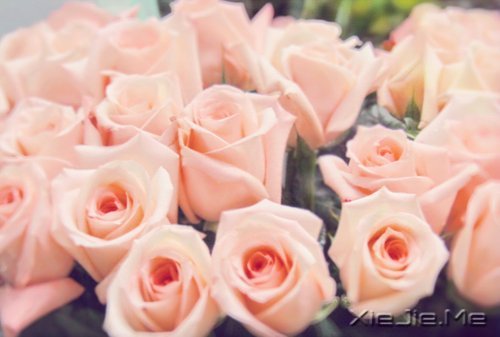 我不完美,但我是完整的自己 (5)