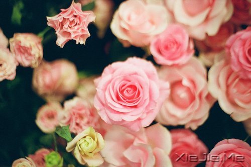 我不完美,但我是完整的自己 (9)