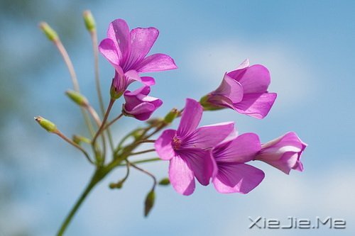 很多道理我们都是心知道,却做不到 (7)