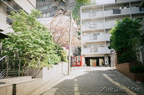 晚安心语:只有想不通的人,没有走不通的路 (12)