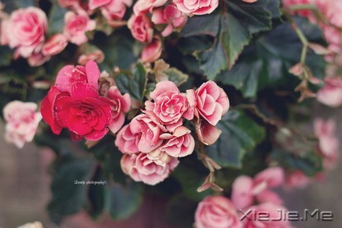 ������ᣬȴ���ӵ�з������������ (7)