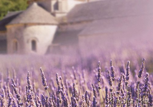 晚安心语:我想要的,一直很简单 (6)