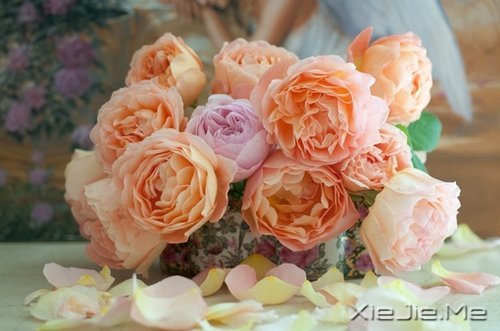 ��������������ˣ��������� (4)