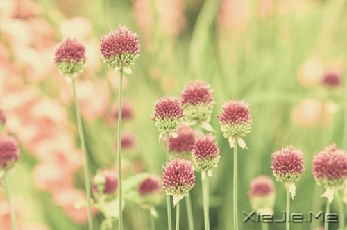 ��������������ˣ��������� (9)