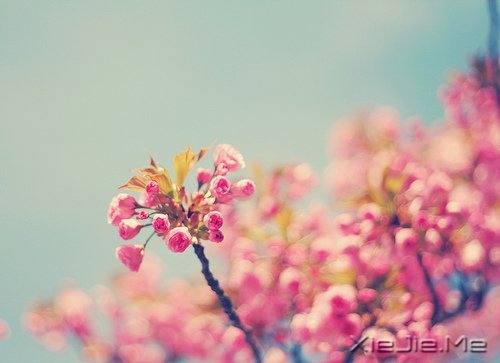 这山长水远的道路,终究是要自己走下去 (2)