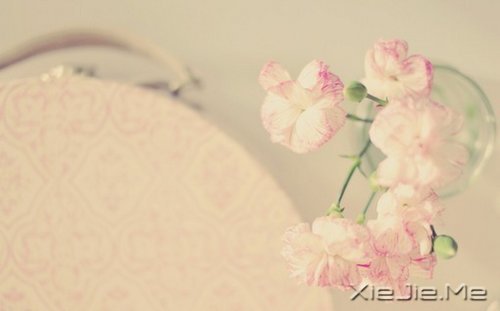 这山长水远的道路,终究是要自己走下去 (10)