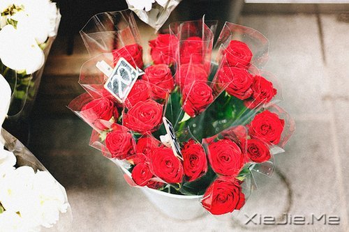 晚安心语:人心本无染,心静自然清 (9)