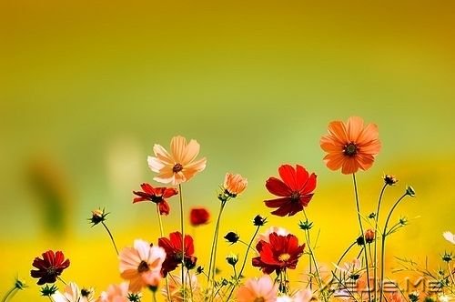 ��������ഺ������ʹ��ȴ�����޷��� (6)