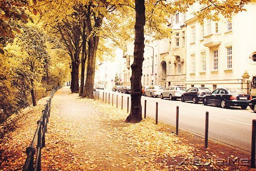 ���������Щ�£�ֻ���Լ��� (4)