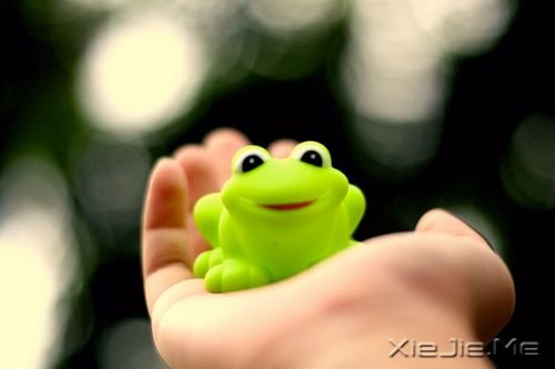 晚安心语:给自己多一点点的温情 (9)