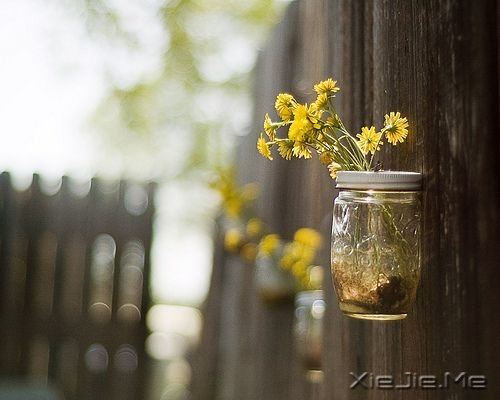 晚安心语:最暗的夜,才会看见最美的星光 (5)