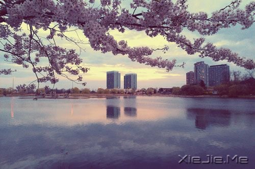 �������һ����ʱ���ƴ��Լ���������ʱ���ƴ��Է� (8)