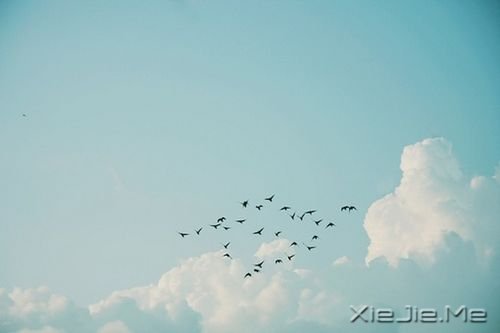 �簲������������ˣ����Ҹ���· (8)