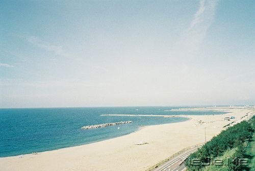 �簲���ͯ��δ������һ��ֵ�ý��������� (10)