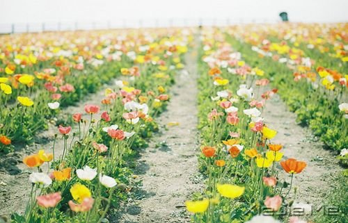 �簲��������ܻ������һ�����ᣬ������������ (4)