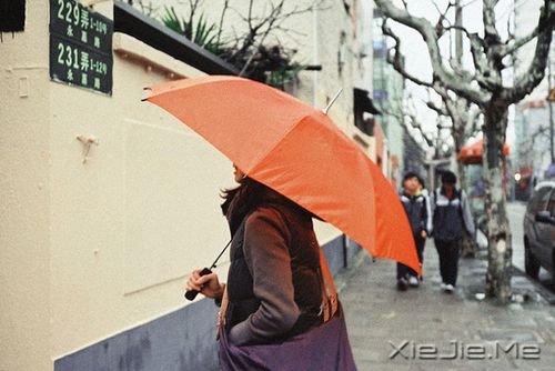 晚安心语:有些谎言,美丽的让你不忍揭穿 (4)