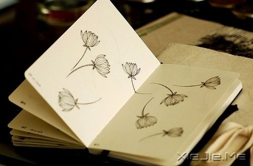 ���������ȥ�޷���д������ȴ���Ҹ��Ӽ�ǿ (7)