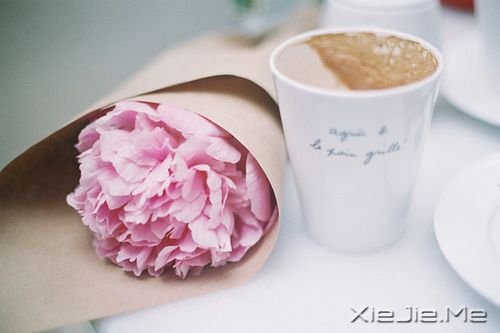 晚安心语:没有不会淡的疤,没有不会好的伤 (3)