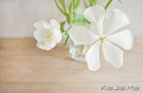 �簲����������ڱ��˵����������ʧ���Լ�����·�� (8)