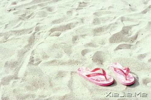 �簲���������ҵ��ģ�������ס������ (1)