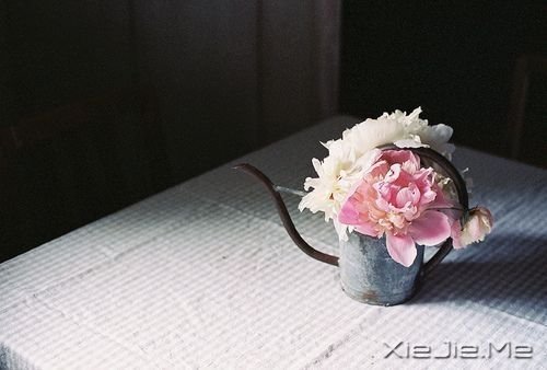 �����������Լ�������Ҫ��ǿ (3)