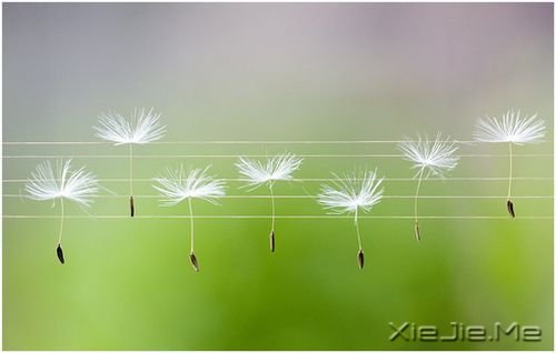 �簲����Ҹ������������Ӱ�� (11)