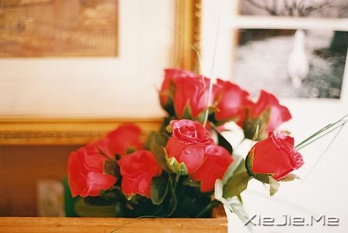 晚安心语:沉默,只是想把心净空 (4)