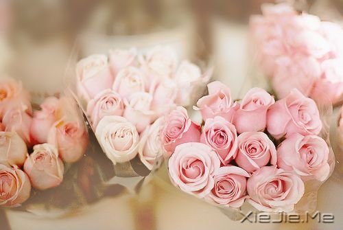 �簲�����Զ�泯���⣬��Ӱ�ͻᱻ˦������ (4)