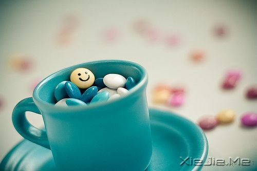 阳光这么好,何必自寻烦恼 (6)