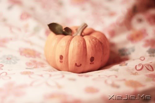 时间,能给出一切答案