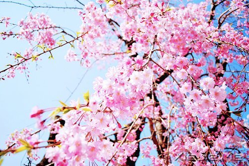 2014����12�������ı��Լ� (7)