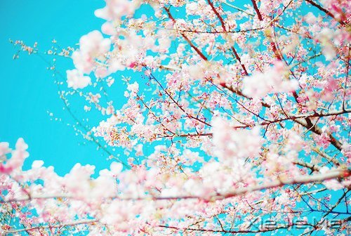 2014����12�������ı��Լ� (10)